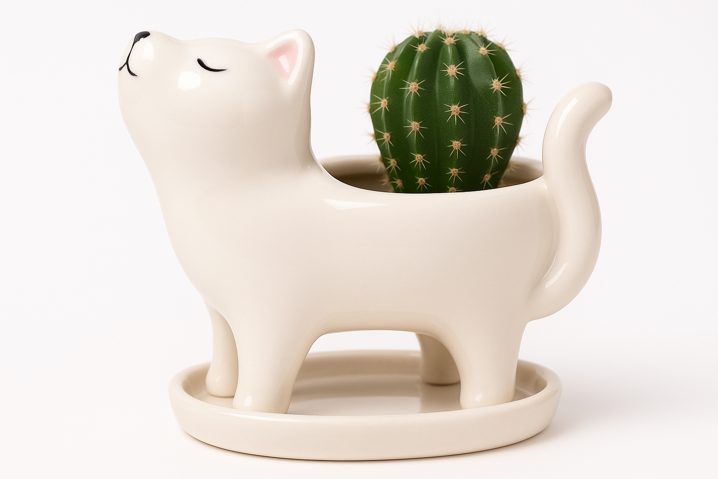 Purfect Planter
