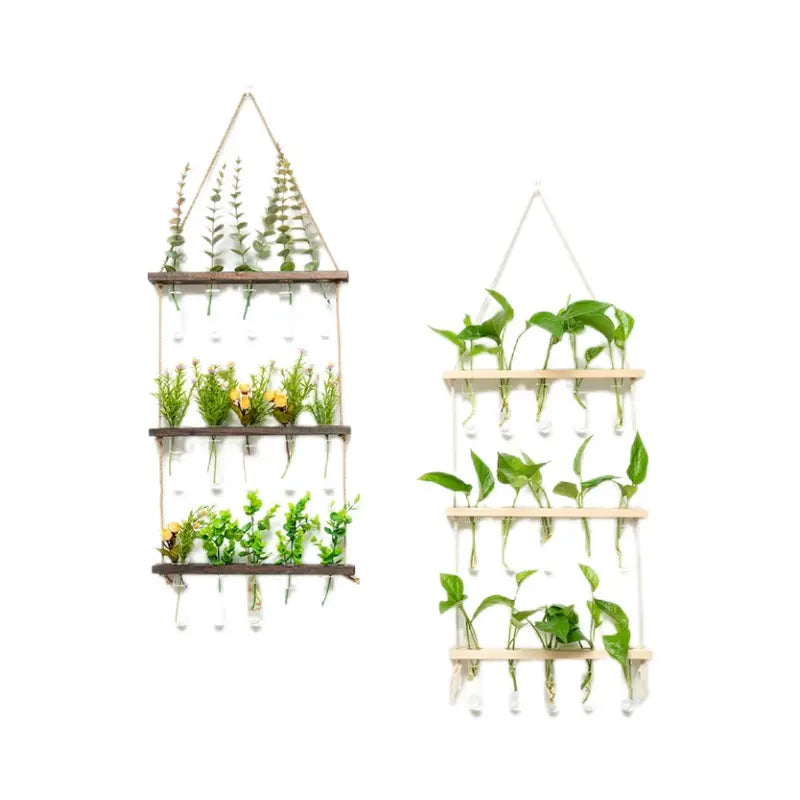 The Plant Whisperer's Laboratory