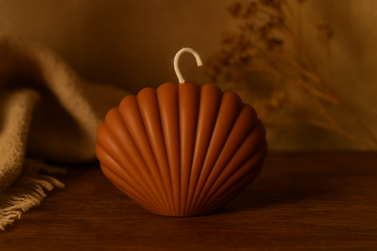 The 'I Found This at the Beach But It's Actually a Candle' Shell