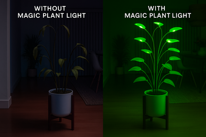 The 'Fairy Godmother of Photosynthesis' Enchanted Plant Wizard