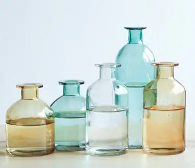 The Sophisticated Vessel for Botanical Procrastination