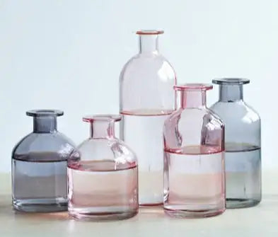 The Sophisticated Vessel for Botanical Procrastination